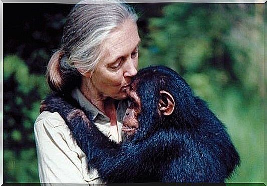 5 phrases by Jane Goodall that will make you reflect