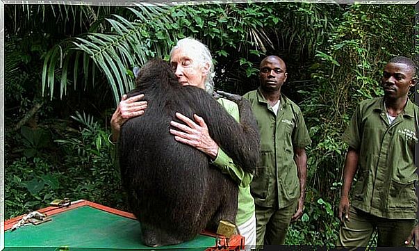 image representing the phrases of Jane Goodall