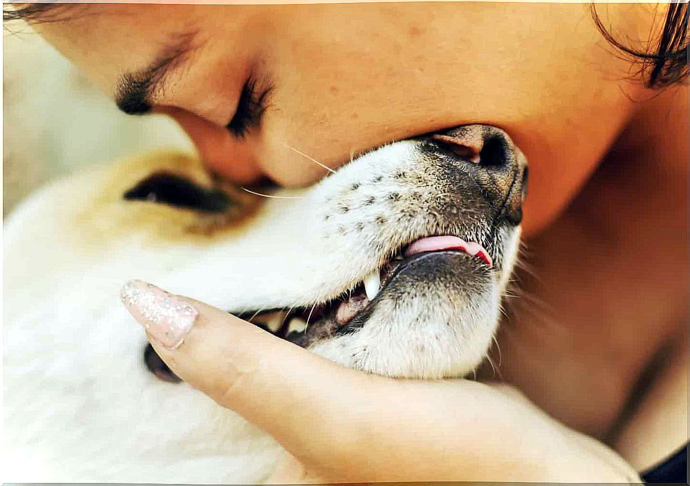 Woman kissing dog