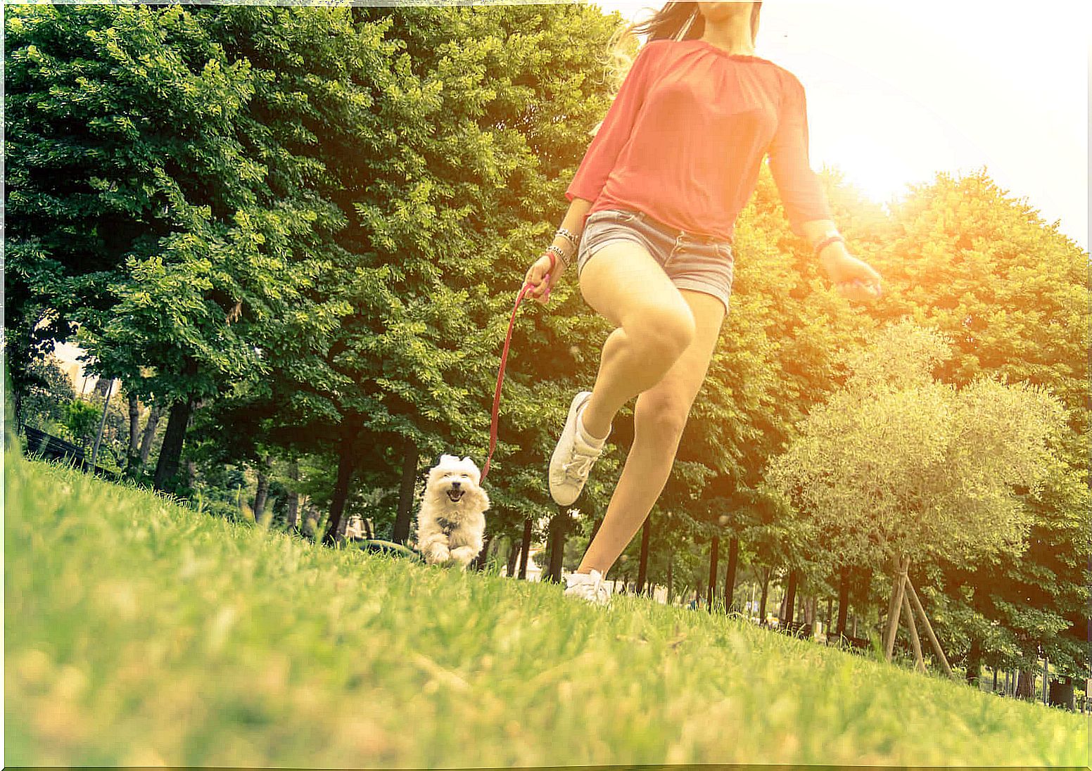 girl walking dog