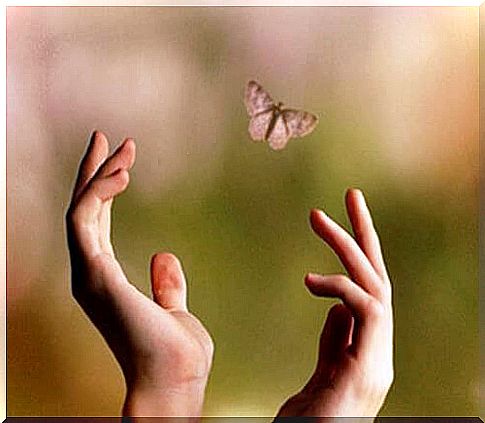 hands reaching for a butterfly symbolizing the act of being responsible