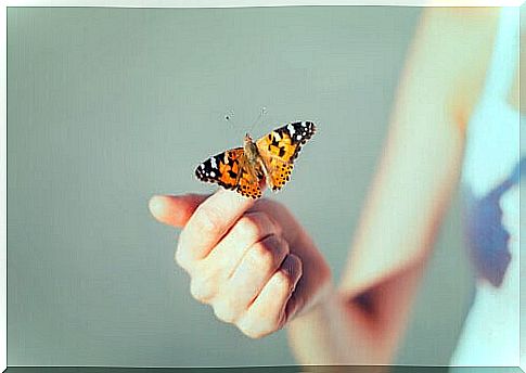 Butterfly in a hand symbolizing creative hopelessness