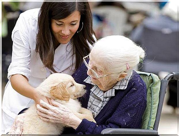 old woman-with-a-dog