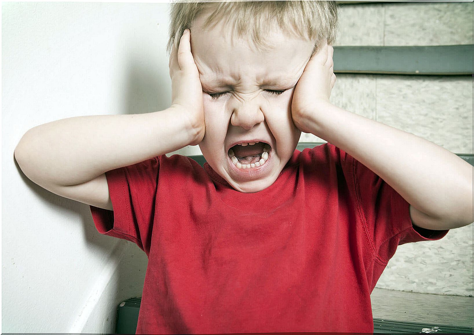 Boy screaming ladder