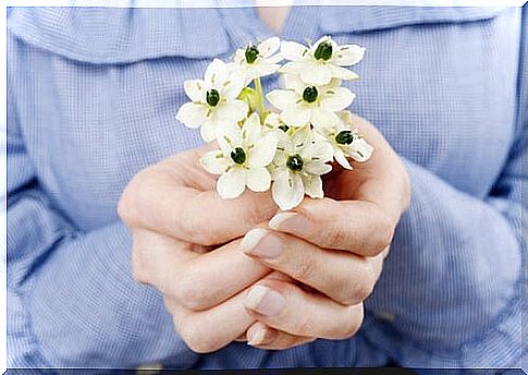 Hands offering flowers to forgive