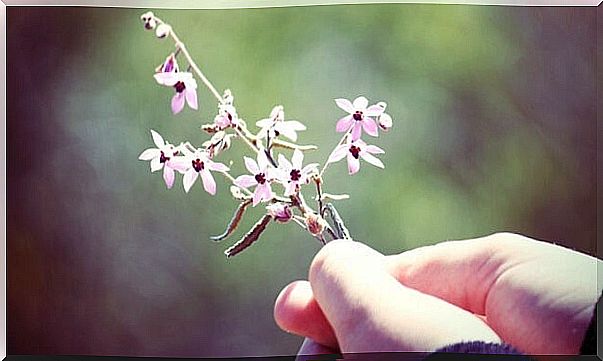 hand holding flower representing Fritz Perls phrases