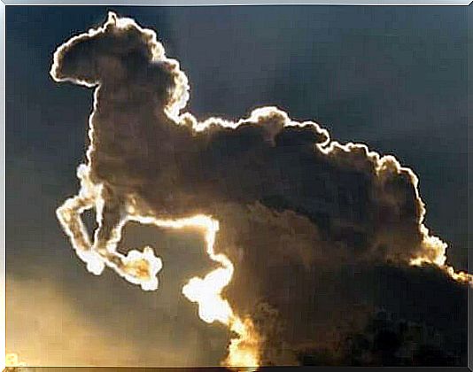 Horse shaped cloud