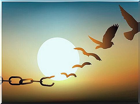 Chains transforming into free birds symbolizing what the human condition needs according to Erich Fromm