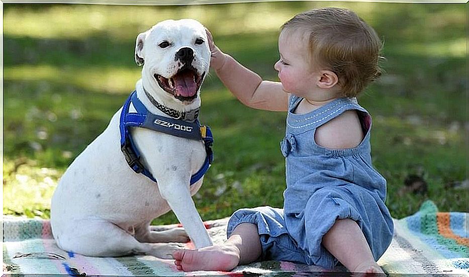 Girl-with-three-armed-dog